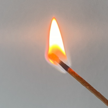 gesunde Ernährung bei Entzündungen Heilpraktikierin Brühl